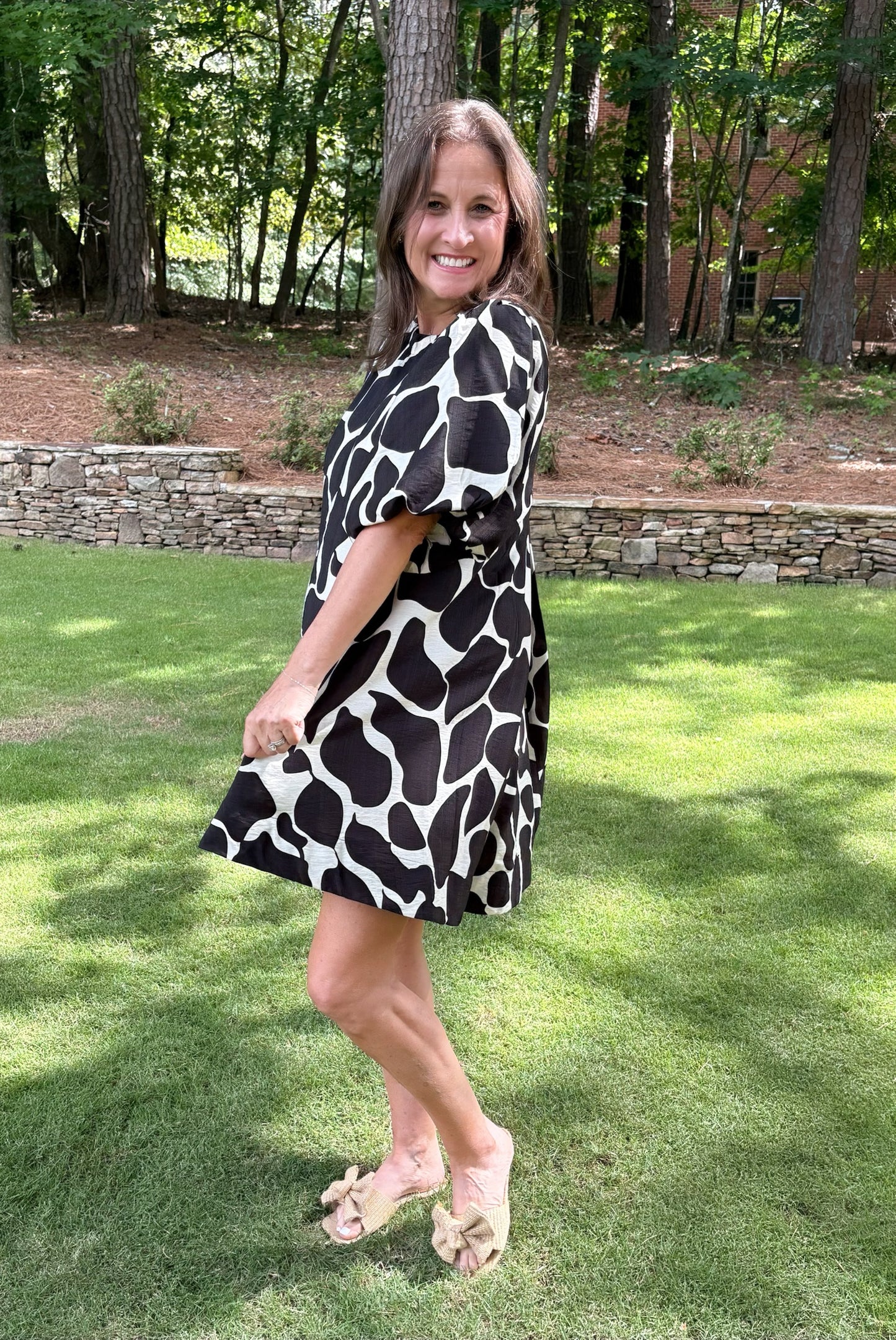 Abstract Print A Line Dress