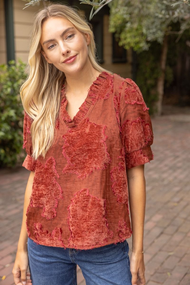 Textured Floral Velvet Burnout V-Neck Blouse / 2 colors