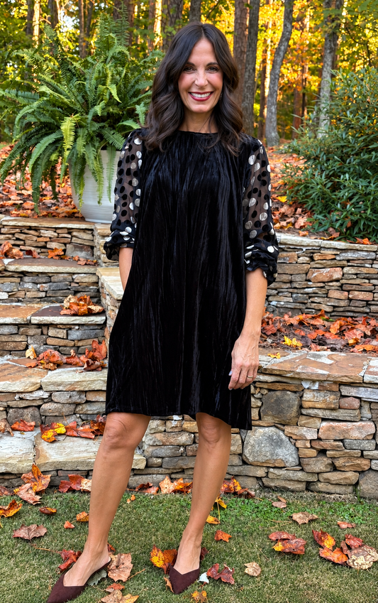 Umgee Velvet Polka Dot Sheer Sleeve Dress