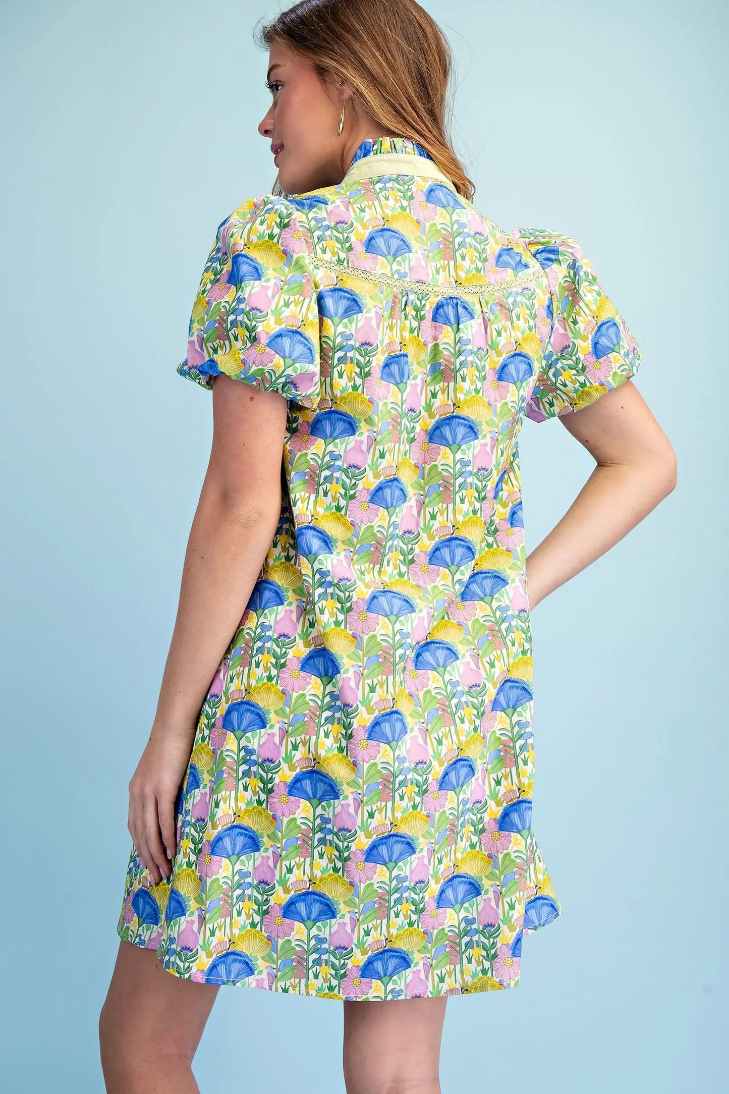 Printed Notch Neck Dress with Lace Trim Details and a Ruffled Neck