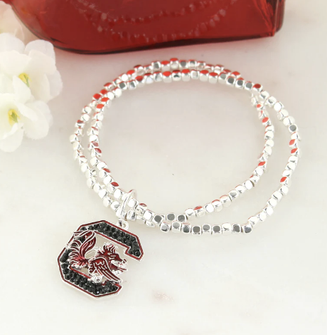 Collegiate Logo Silver Bracelet Set